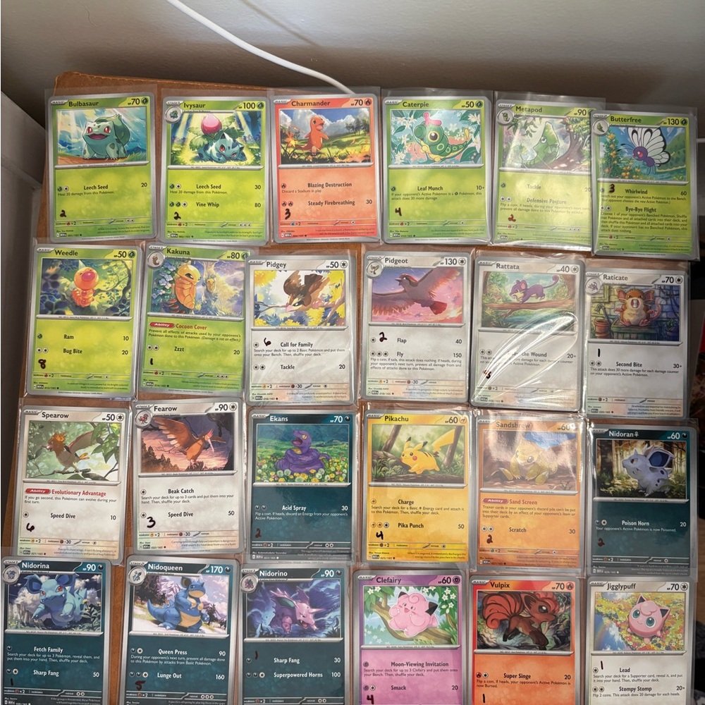 151 Bulk Bundle